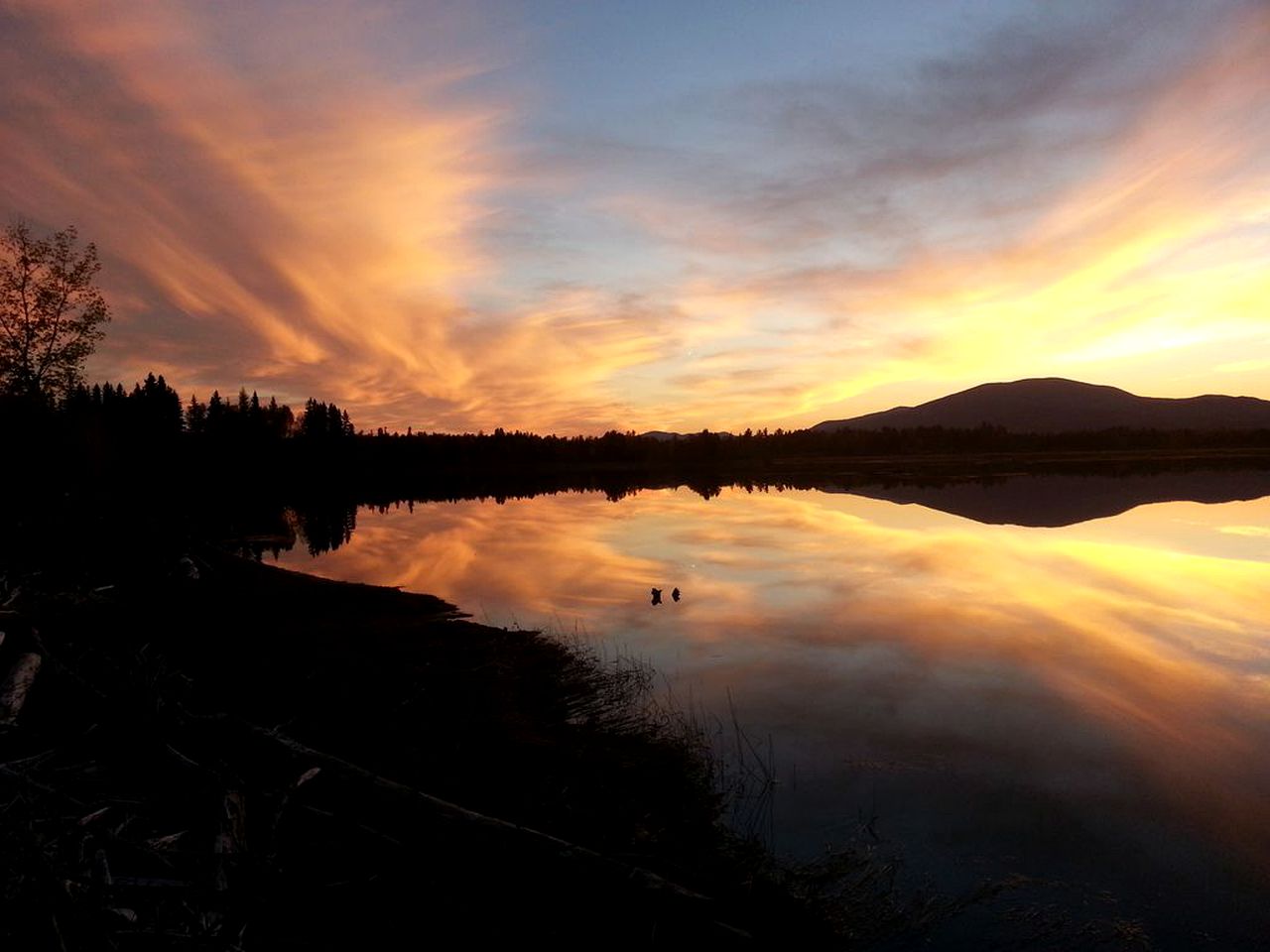 Pet-Friendly Cabin Rental near the Bigelow Preserve in Maine