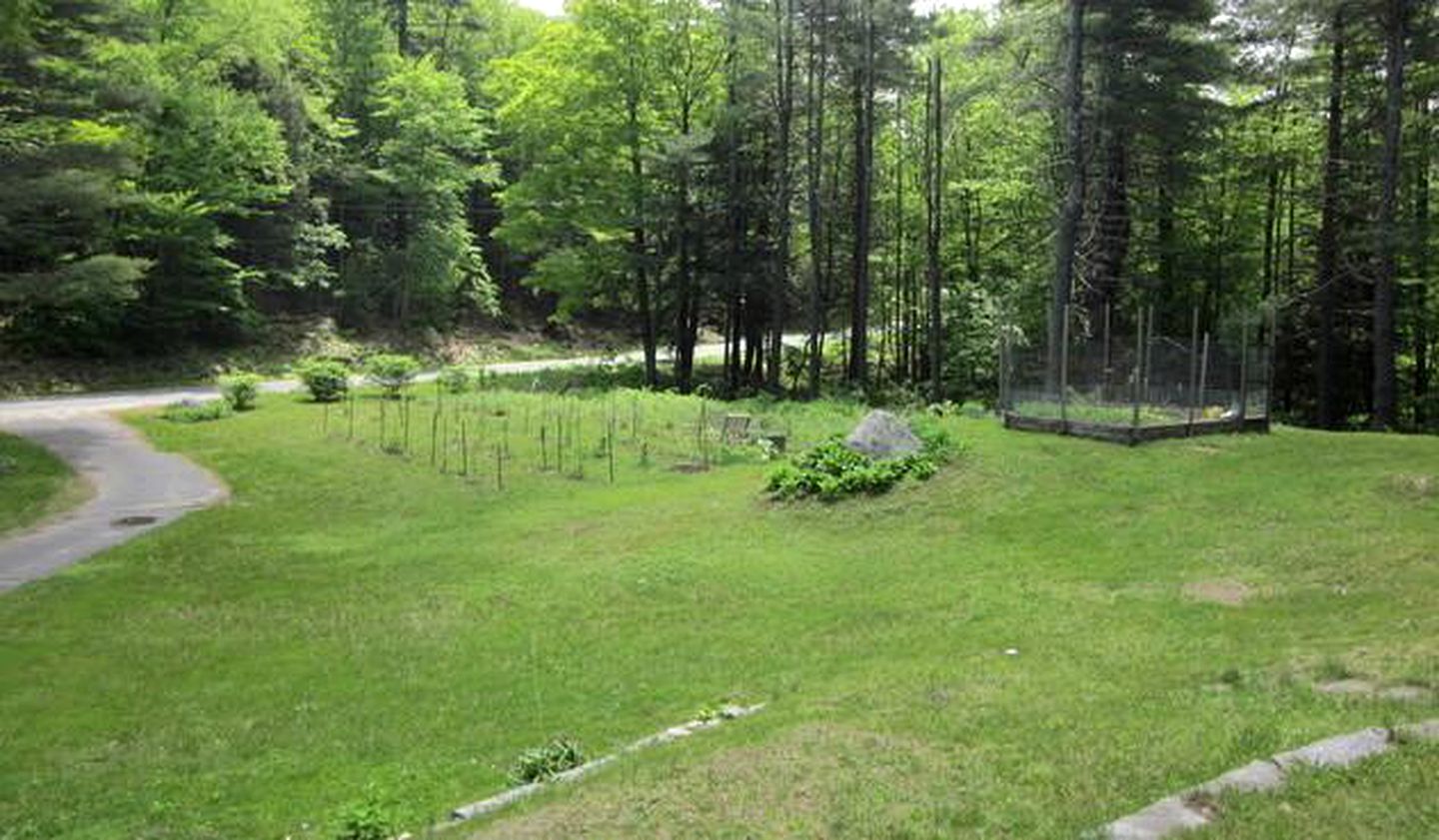 Unique and Secluded Berkshires Rental in Hawley State Forest near Charlemont, Western Massachusetts