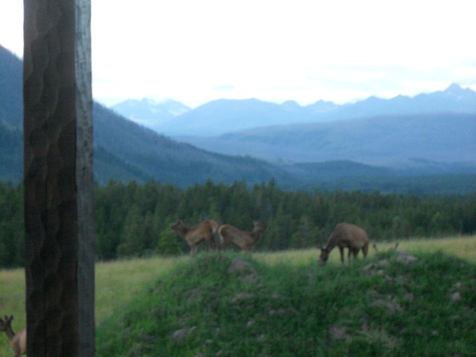 Cabins (West Glacier, Montana, United States)