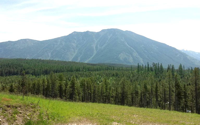 Cabins (West Glacier, Montana, United States)