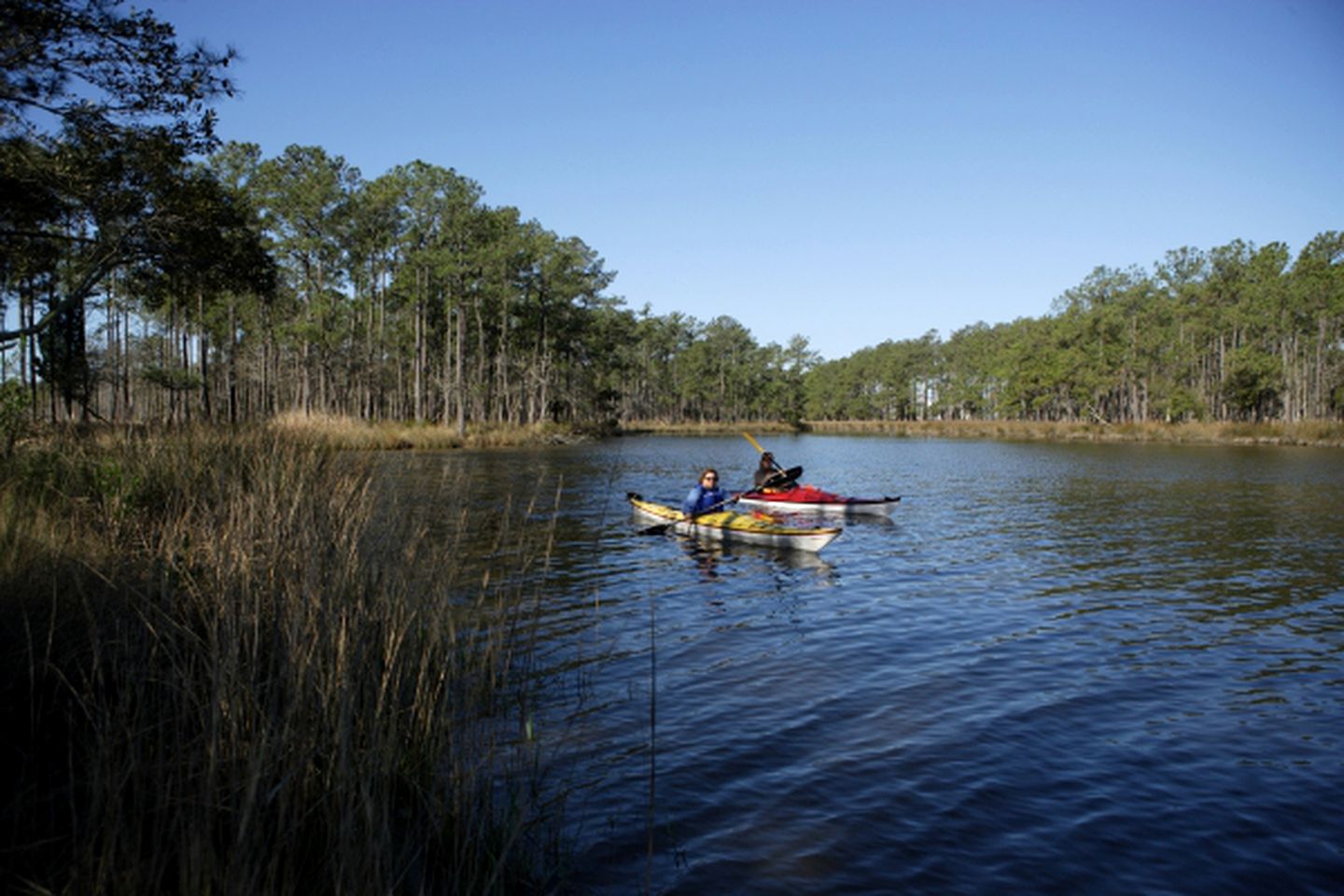 Vacation Cottage on the Neuse River, North Carolina