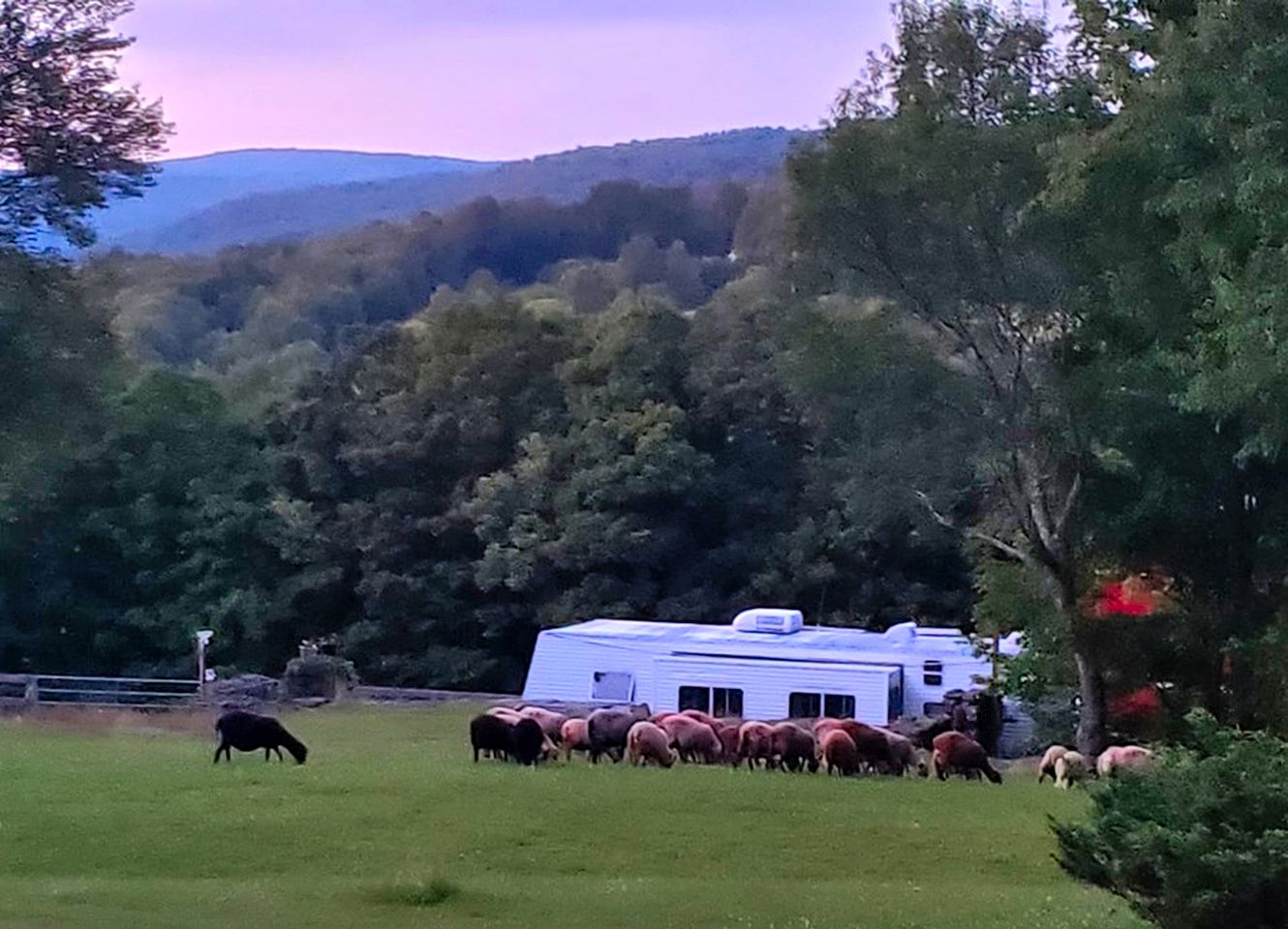 Camping Retreat Ideal for a Family Getaway on a Farm in Jeffersonville, New York