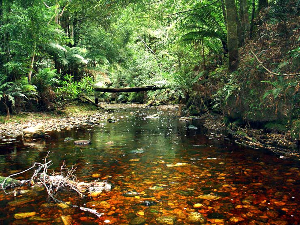 Secluded Cottage Rental with Views of the Bass Strait near Wynyard, Tasmania, Australia