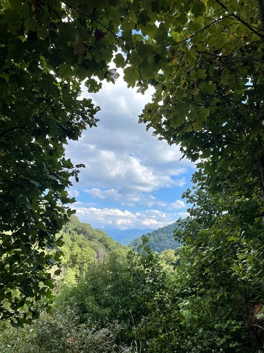 Off Grid Tiny Cabin Ideal for Couples in Burnsville, North Caroline | Cabins (Burnsville, North Carolina, United States of America)