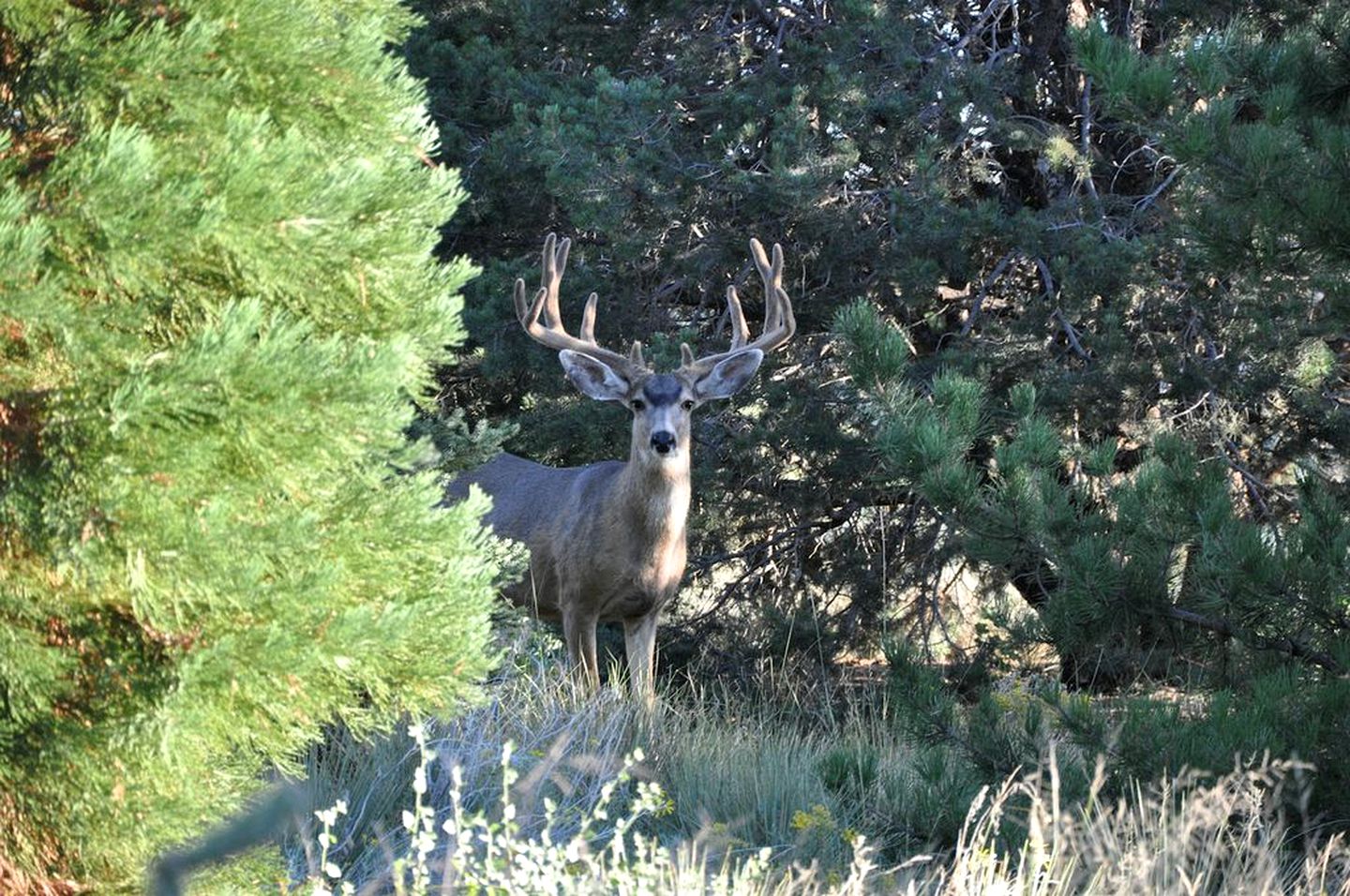 Cozy Albuquerque Casa Rental with Mountain Views for a Relaxing Getaway
