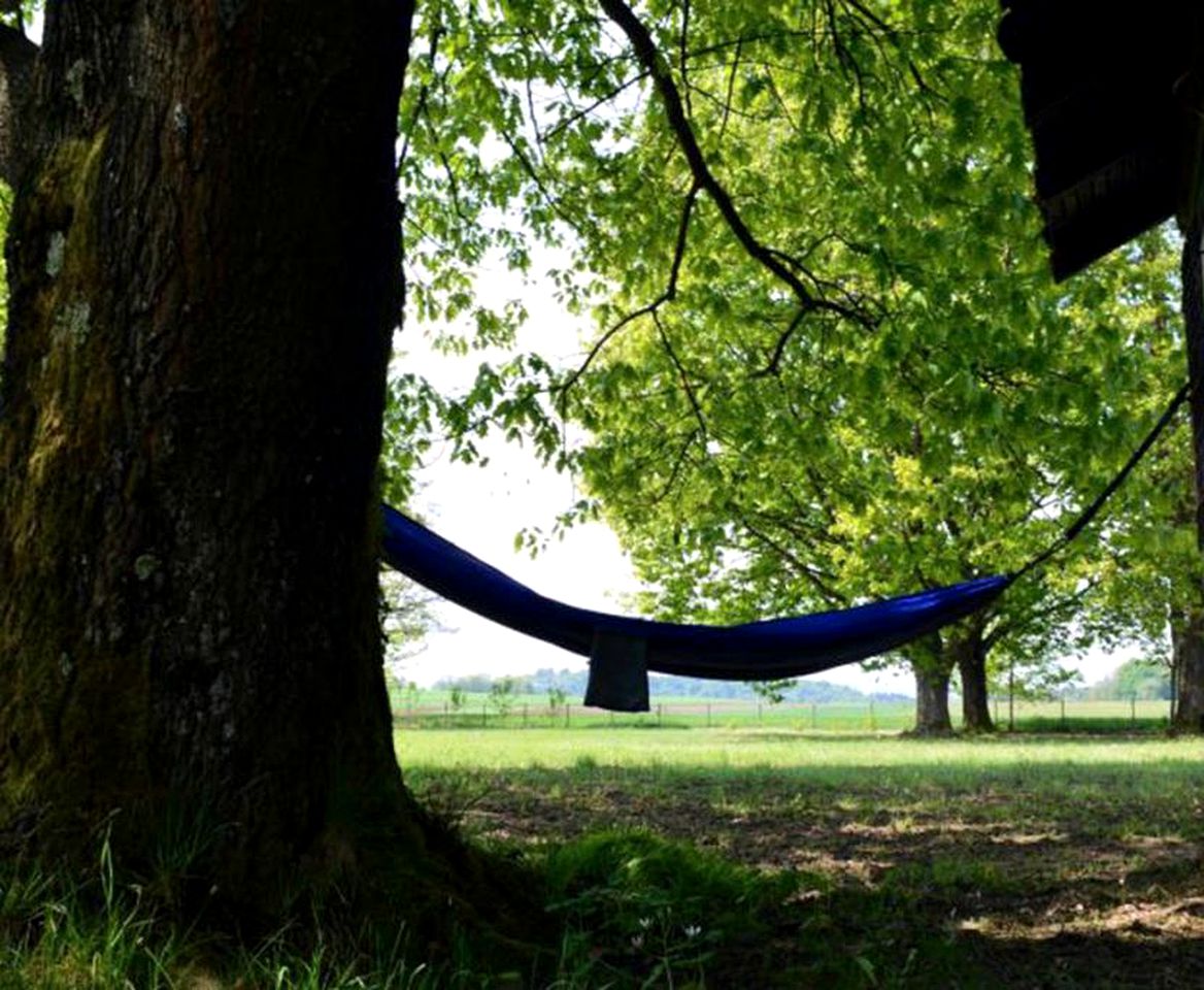 Contemporary Intimate Cabin Rental for Two near Velenje, Slovenia