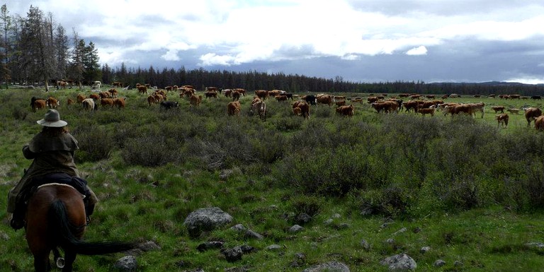 Nature Lodges (Big Creek, British Columbia, Canada)