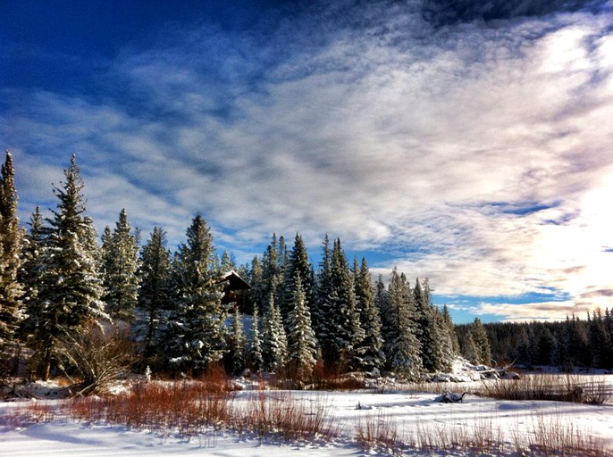 Nature Lodges (Big Creek, British Columbia, Canada)