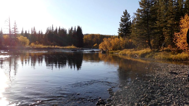 Nature Lodges (Big Creek, British Columbia, Canada)