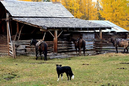 Big Creek Lodge