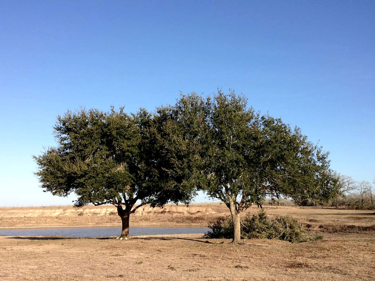 Secluded Group Cabin on Fun Ranch near Gonzales, Texas