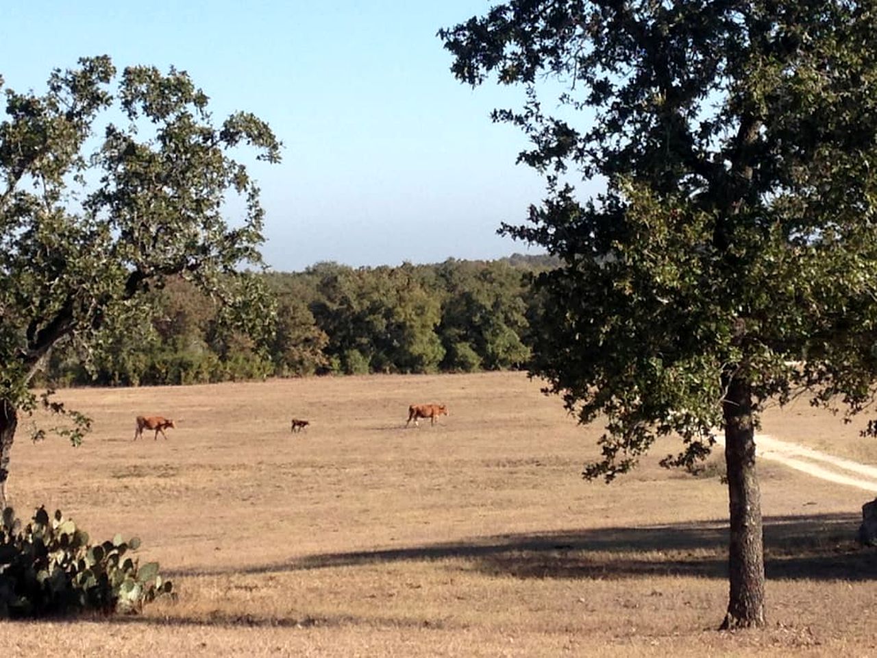 Secluded Group Cabin on Fun Ranch near Gonzales, Texas