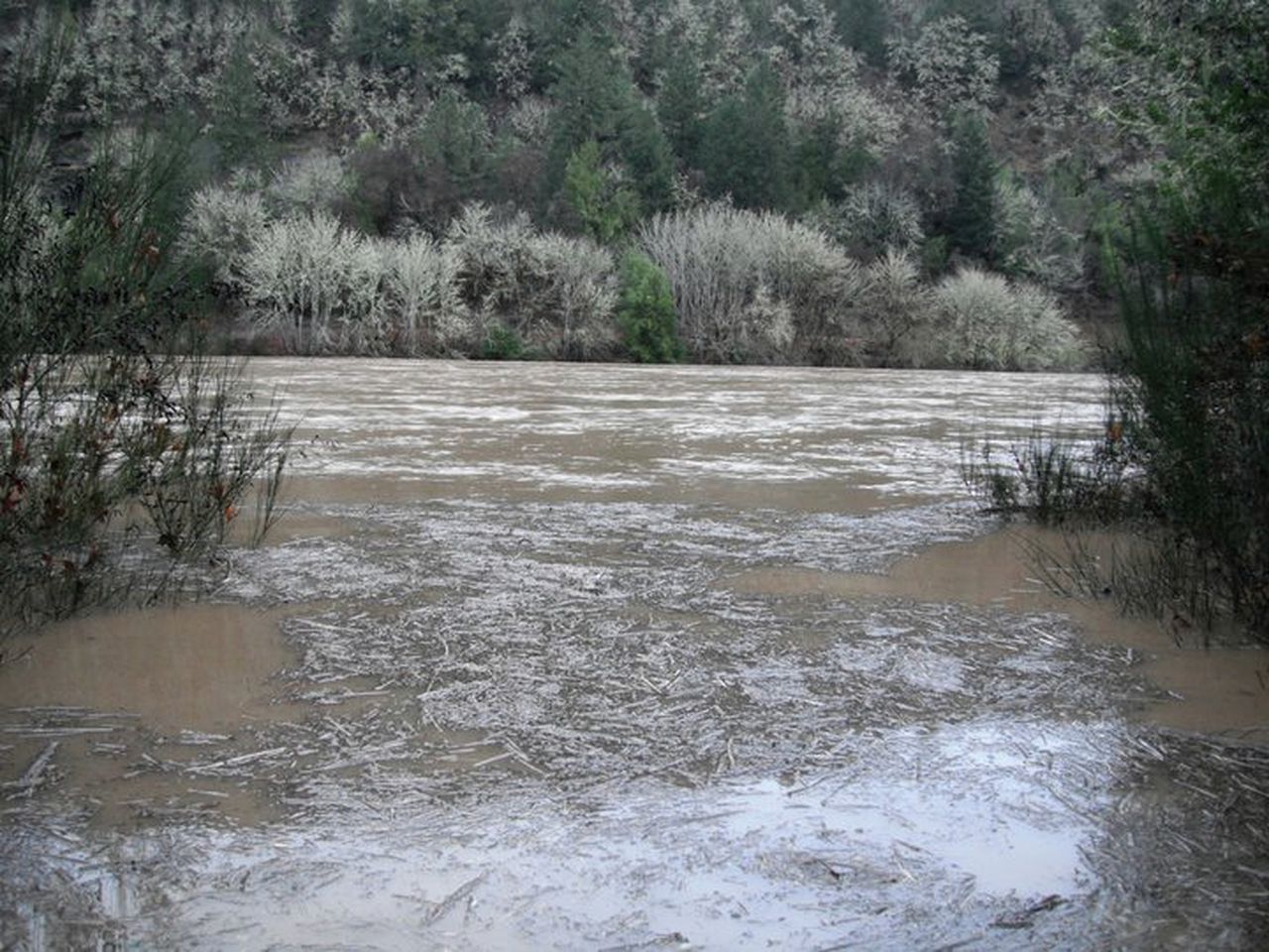 Secluded Cabin Ideal for a Romantic Getaway in the Umpqua River Valley of Oregon