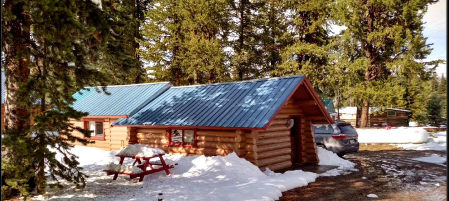 Cozy Log Cabin in the Mountains near Cooke City, Montana