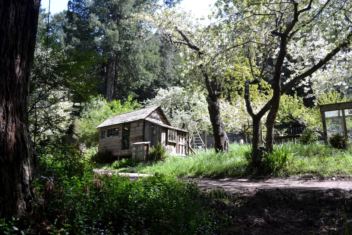 Cabin near Mendocino, California