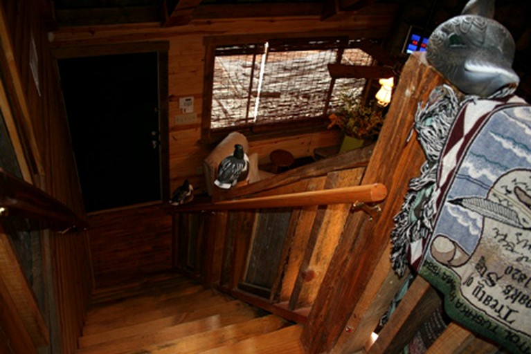 Bigfoot Cabin, Cabins, Clayton, United States of America Glamping Hub