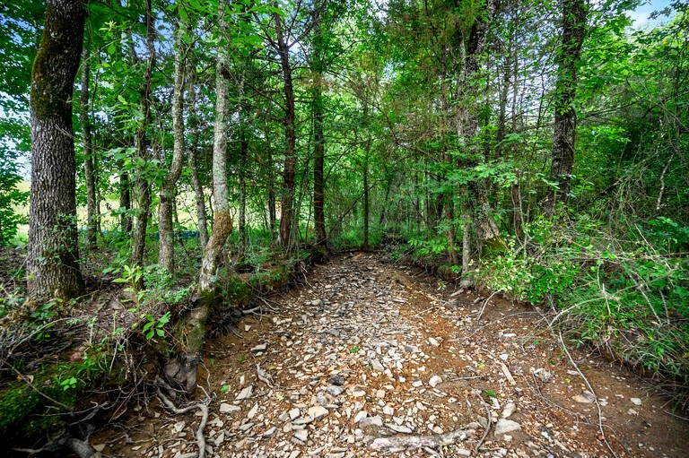 Cabins (United States of America, Broken Bow, Oklahoma)