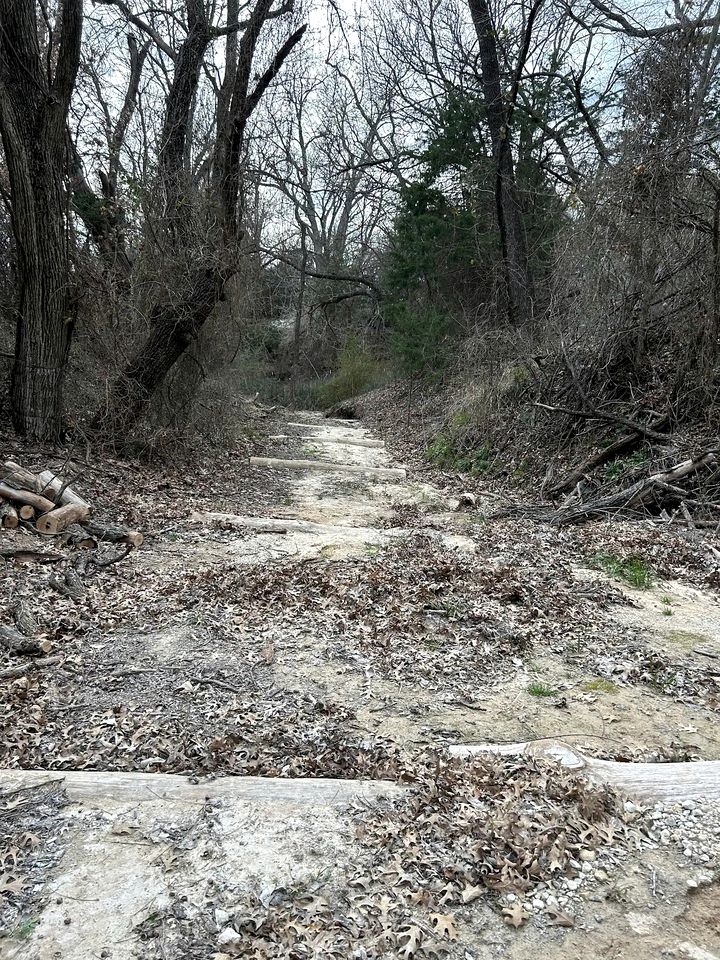 Enchanting Forest Treehouse Hideaway with Farm Activities near Bingham Creek in Forestburg, Texas