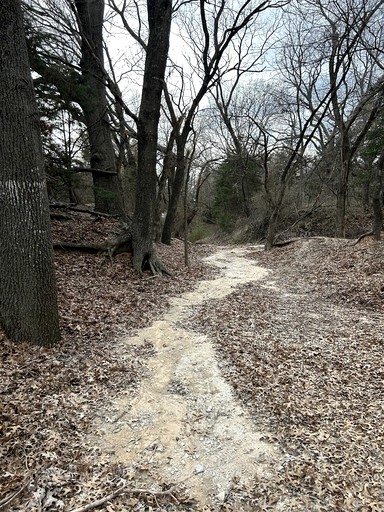 Vacation Rentals (United States of America, Forestburg, Texas)