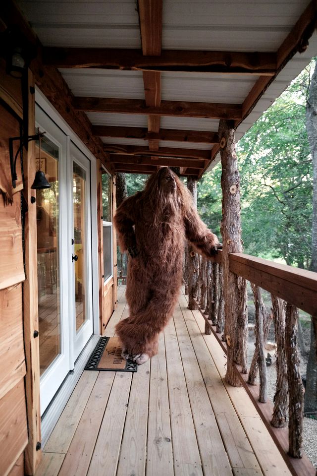 Enchanting Forest Treehouse Hideaway with Farm Activities near Bingham Creek in Forestburg, Texas