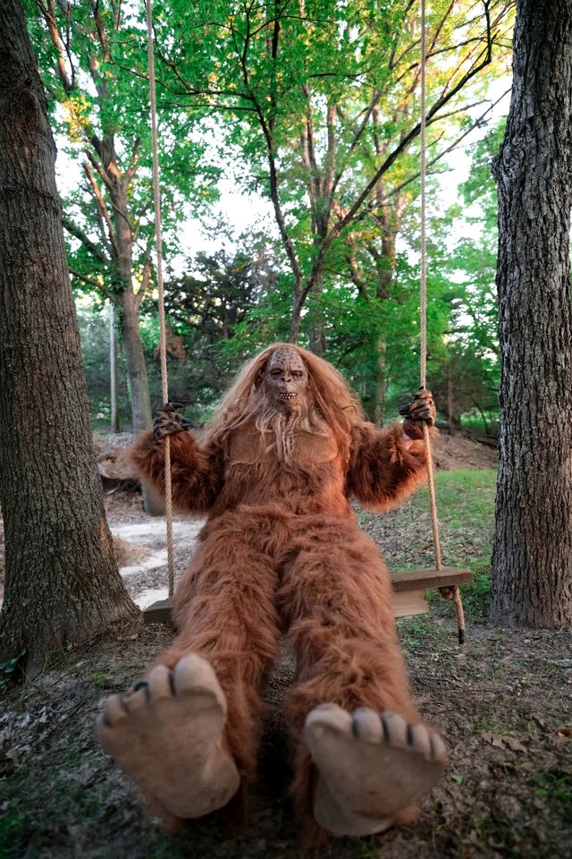 Enchanting Forest Treehouse Hideaway with Farm Activities near Bingham Creek in Forestburg, Texas