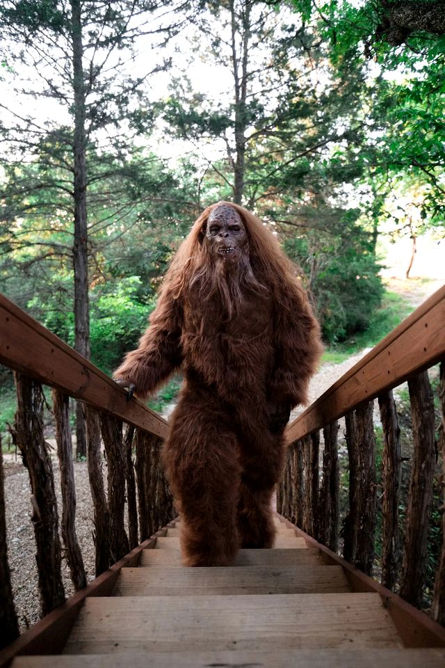 Enchanting Forest Treehouse Hideaway with Farm Activities near Bingham Creek in Forestburg, Texas