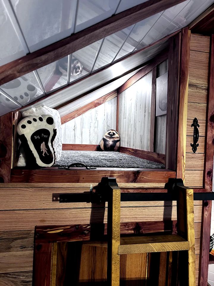 Enchanting Forest Treehouse Hideaway with Farm Activities near Bingham Creek in Forestburg, Texas