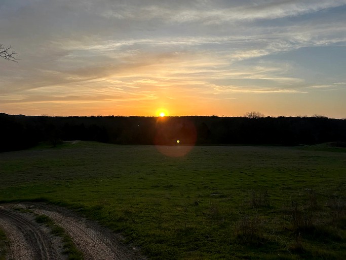 Tree Houses (United States of America, Forestburg, Texas)