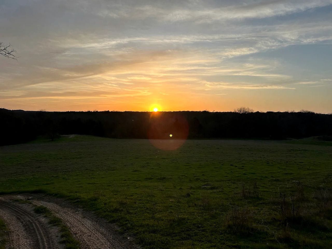 Enchanting Forest Treehouse Hideaway with Farm Activities near Bingham Creek in Forestburg, Texas