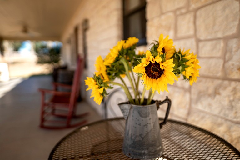 Vacation Rentals (United States of America, New Ulm, Texas)