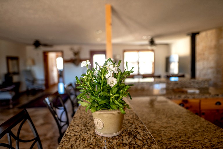 Vacation Rentals (United States of America, New Ulm, Texas)