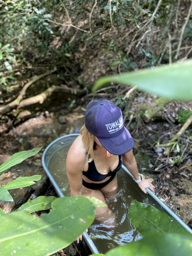 Cabins (United States of America, Zirconia, North Carolina)