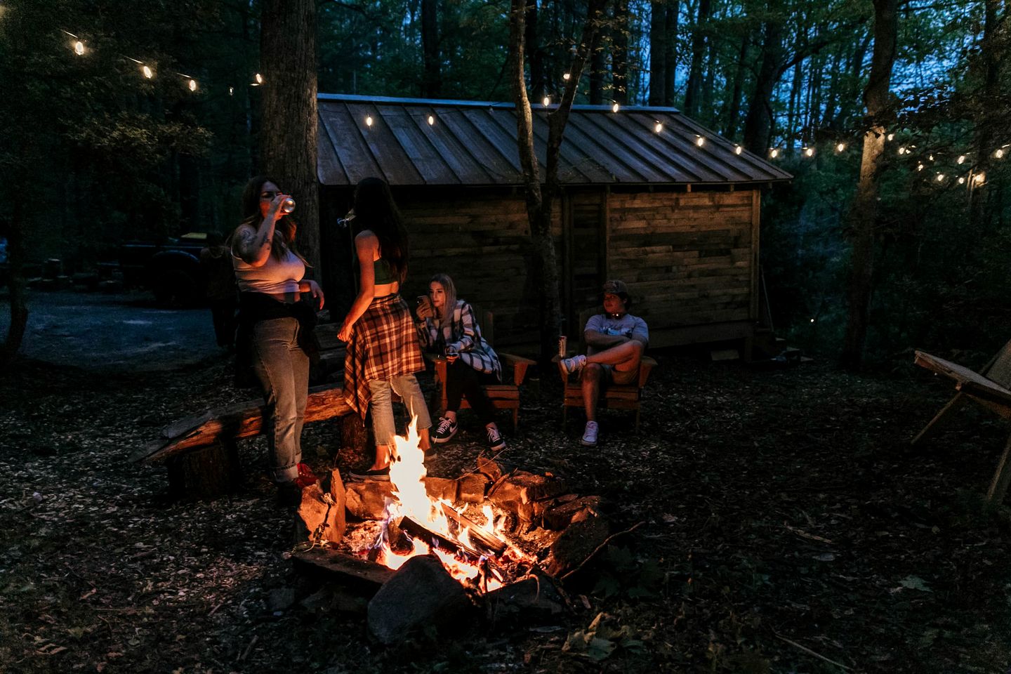 Peaceful Cabin Stay with Fire Pit, Sauna & Mountain Adventure in Zirconia, North Carolina