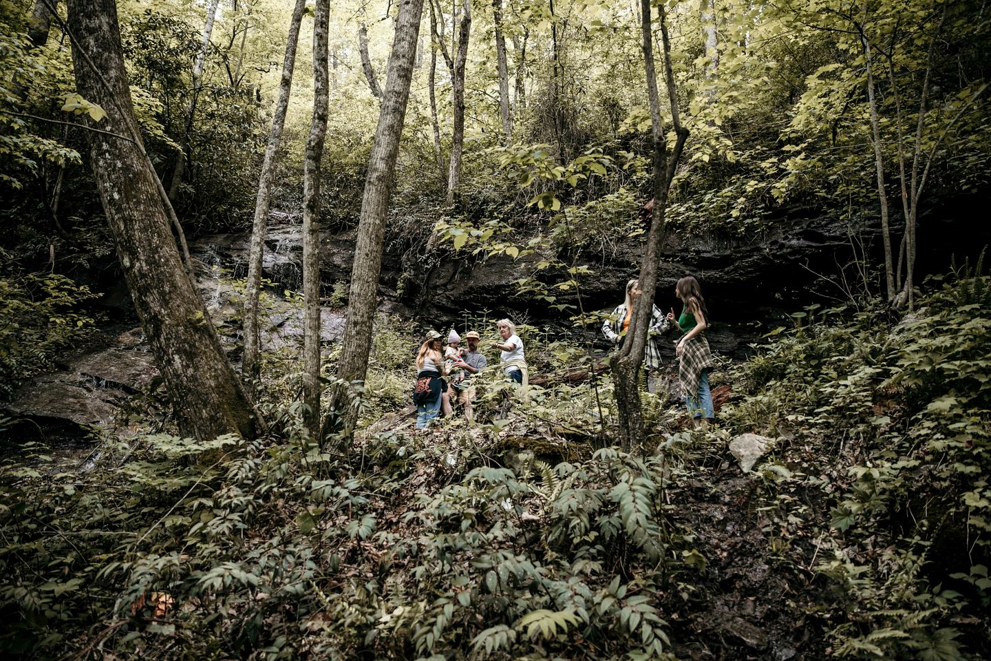Peaceful Cabin Stay with Fire Pit, Sauna & Mountain Adventure in Zirconia, North Carolina