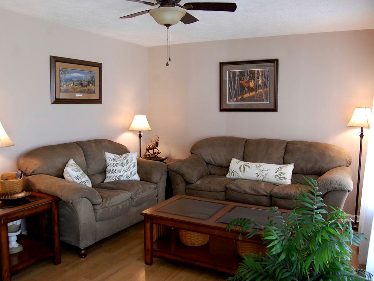 Beautiful Secluded Cottage in the Woods near the Red River Gorge in Kentucky