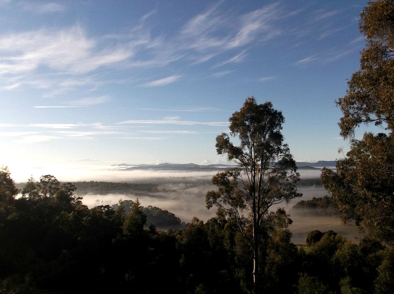 Bed and Breakfast Cottage Nestled in Hunter Valley, New South Wales