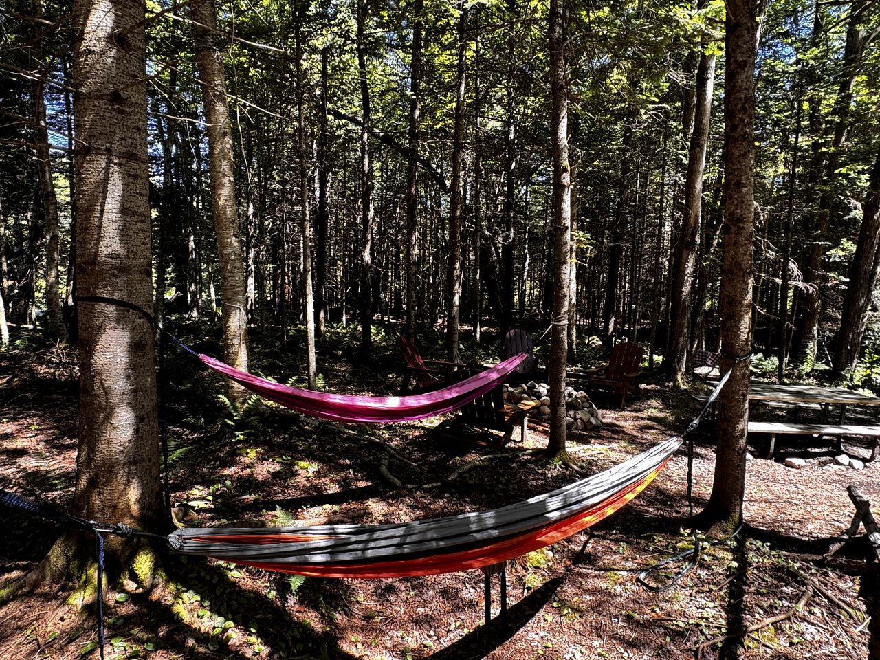 Radiant Cabin Sanctuary near Adirondack Mountains in New York