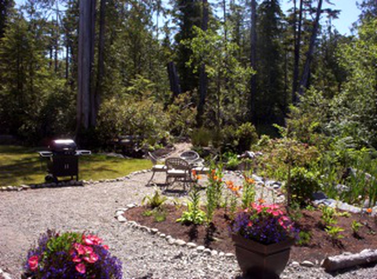 Cozy Getaway near Pacific Rim National Park in Tofino, British Columbia
