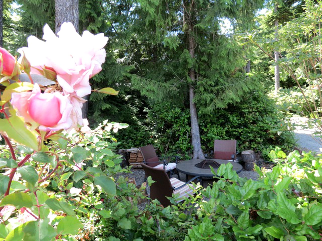 Cozy Getaway near Pacific Rim National Park in Tofino, British Columbia