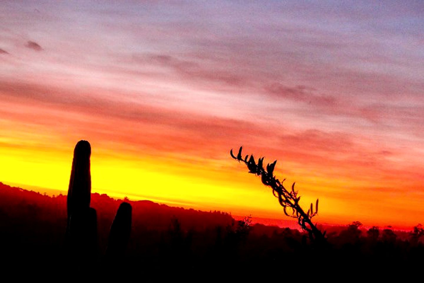 Rustic Room Rental in Lodge with Breathtaking Views near Greymouth, New Zealand