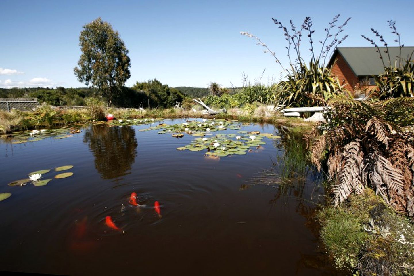 Rustic Room Rental in Lodge with Breathtaking Views near Greymouth, New Zealand