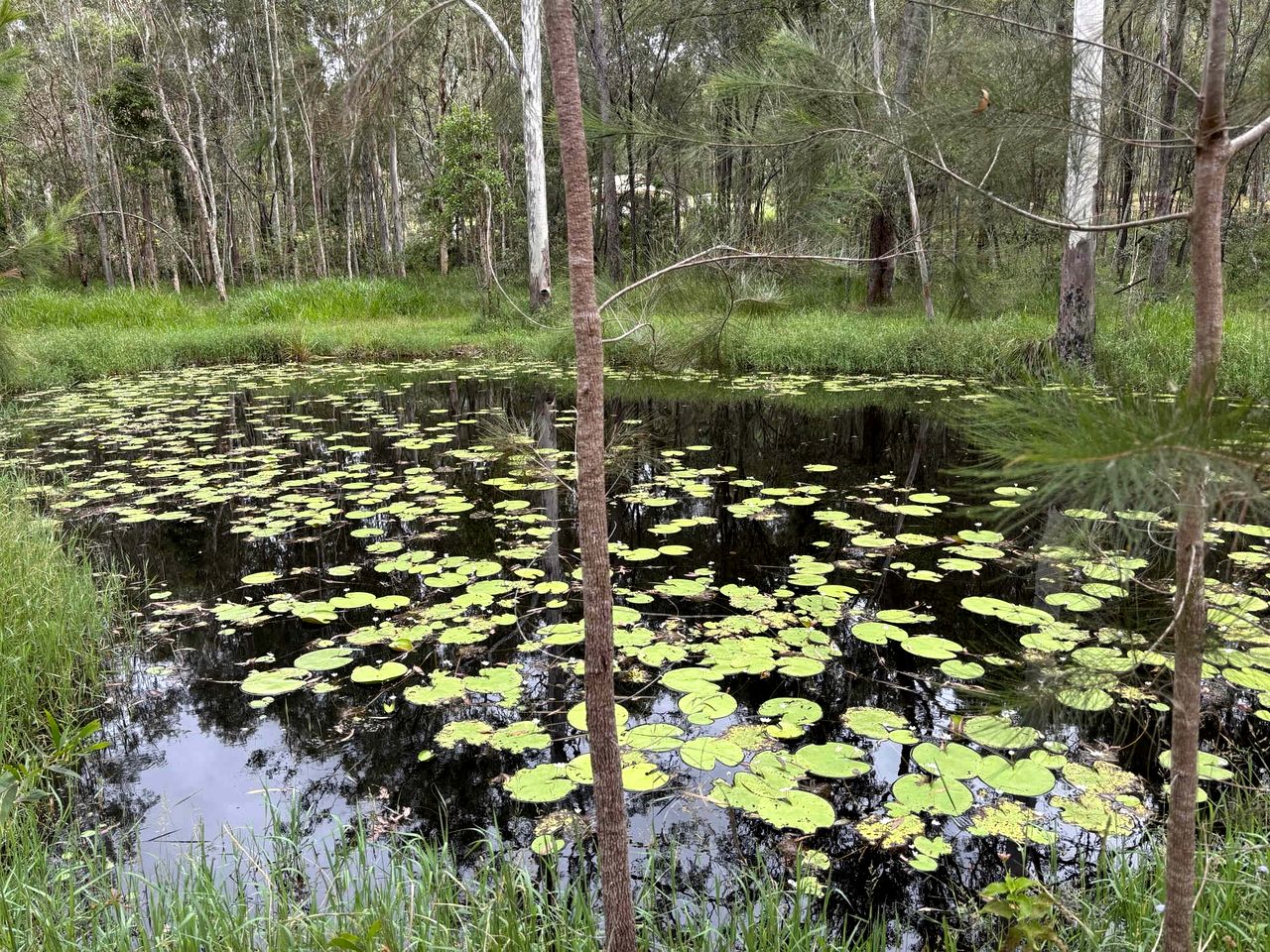 Amazing Tiny House Farm Stay Surrounded by Wildlife for a Peaceful Escape in Nature in Logan Village, Queensland