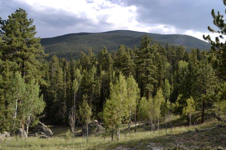 Tipis (Lake George, Colorado, United States)