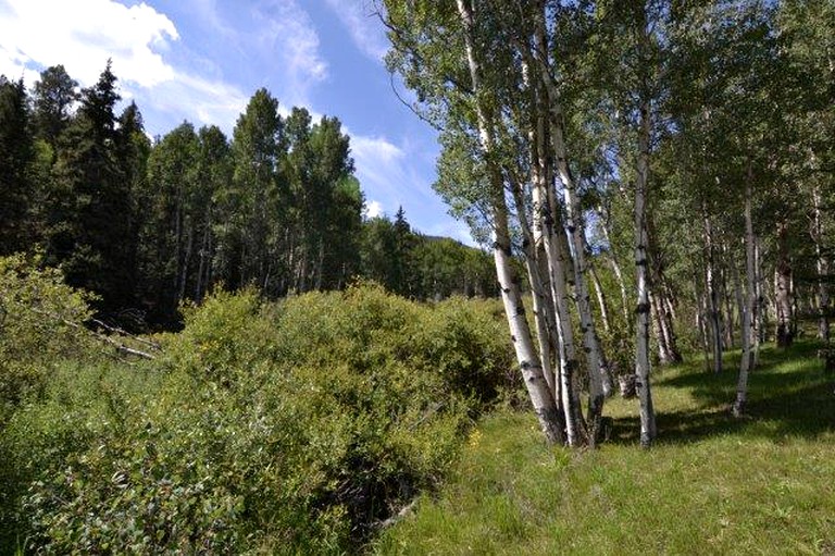 Tipis (Lake George, Colorado, United States)