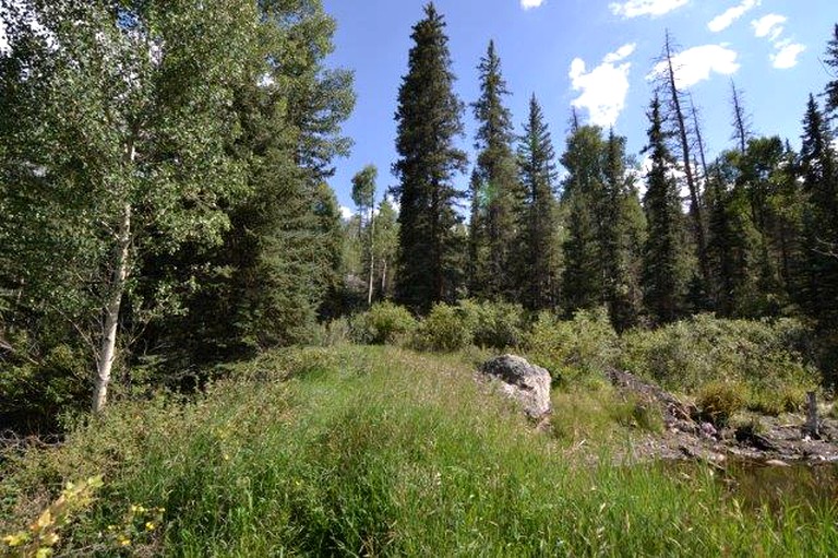 Tipis (Lake George, Colorado, United States)