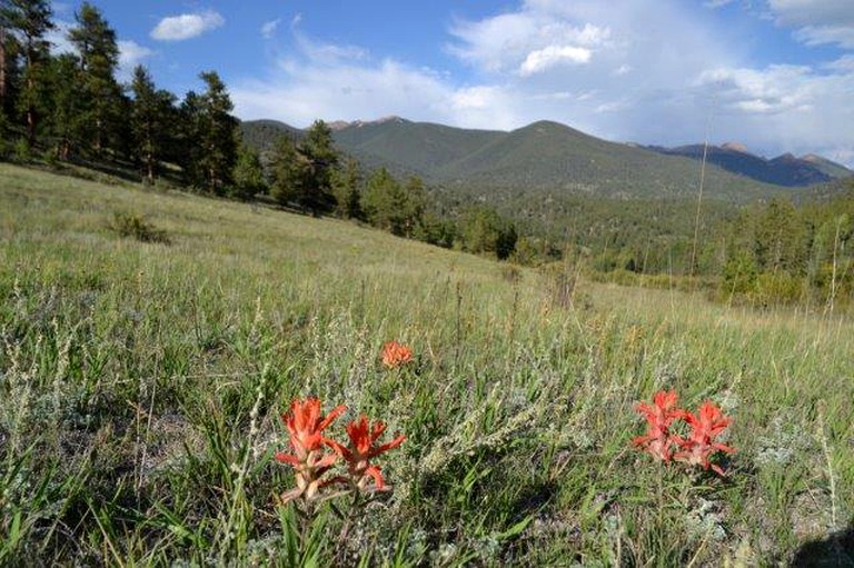 Tipis (Lake George, Colorado, United States)