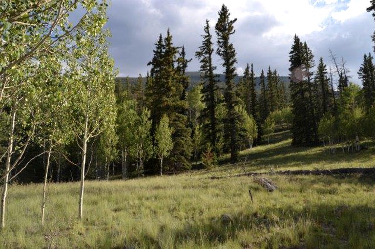 Tipis (Lake George, Colorado, United States)