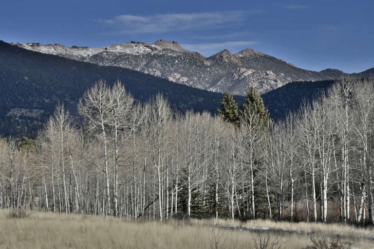 Tipis (Lake George, Colorado, United States)