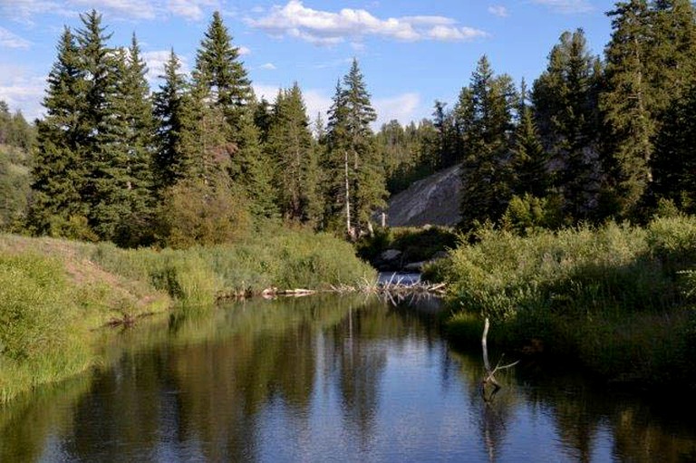 Tipis (Lake George, Colorado, United States)