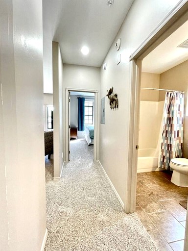 Vacation Rentals (United States of America, --, Arizona)